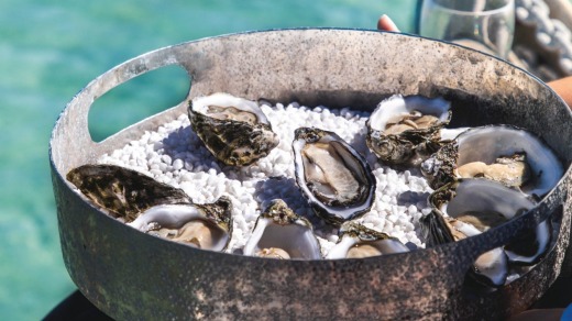 Sorry not sorry! Coffin Bay Oysters